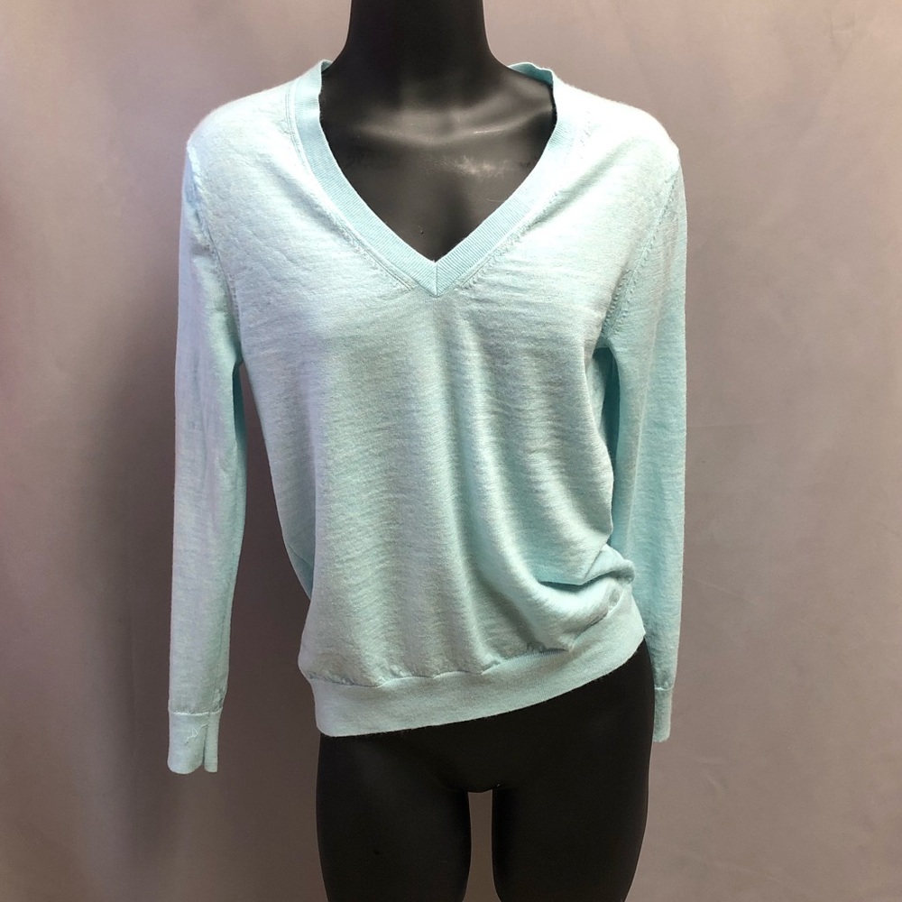 Banana Republic Merino Wool V Neck Sweater